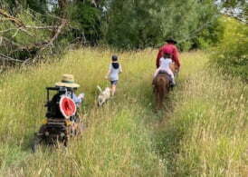 Best Quality Powerchair
