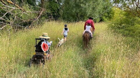 Best Quality Powerchair