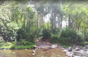 Howqua River, Victoria